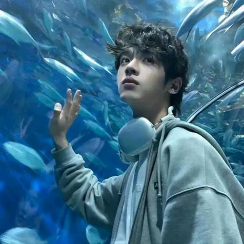 清辞（三角洲行动）