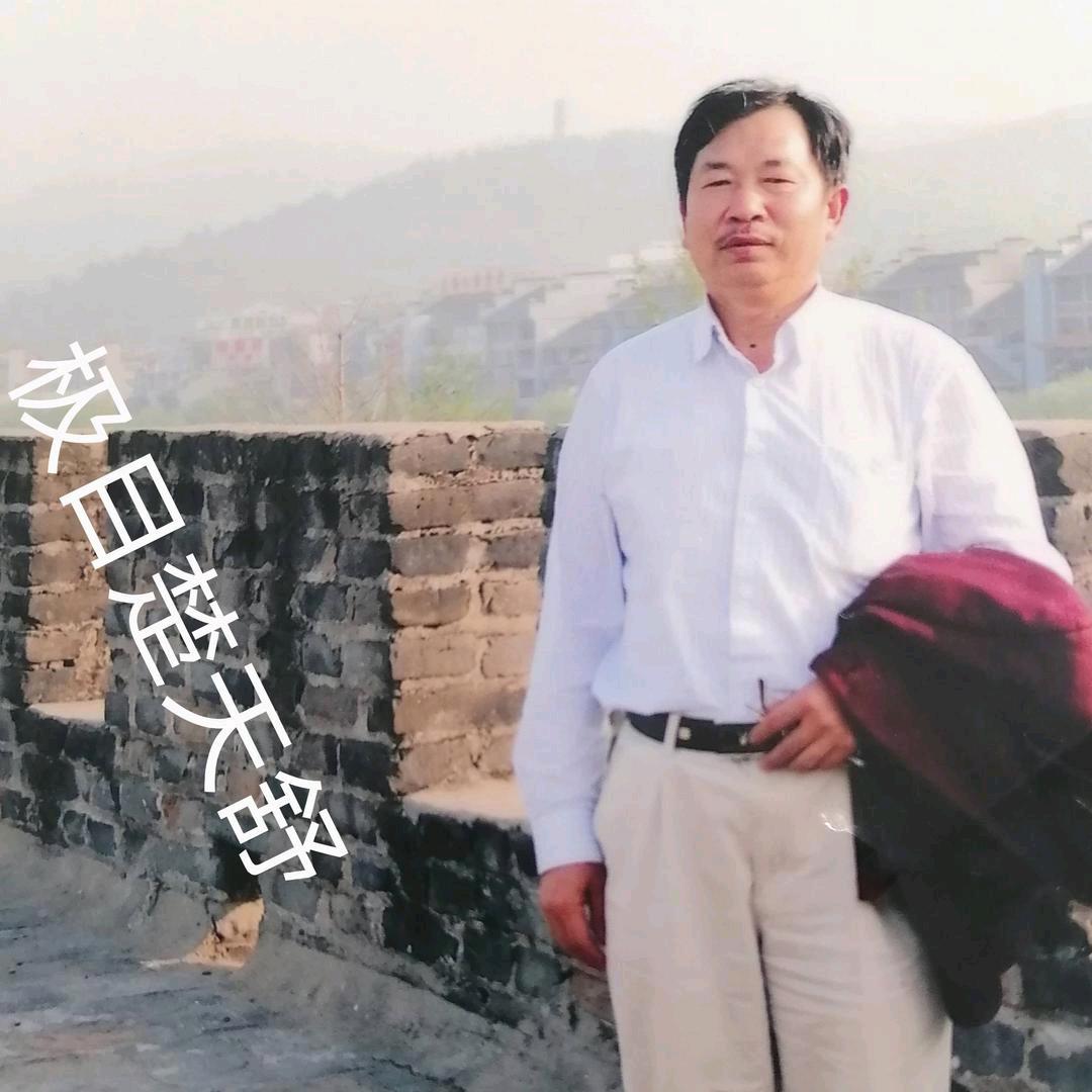 揽月九天