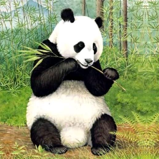 自己安好便是晴天