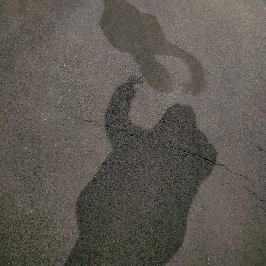 嘻嘻来了