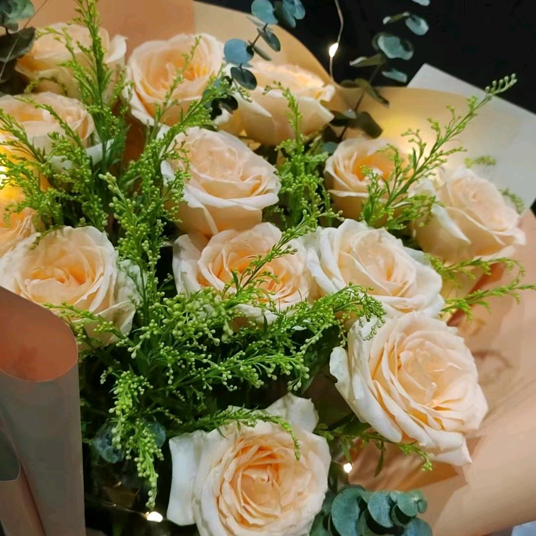 家和万事兴6202625016813