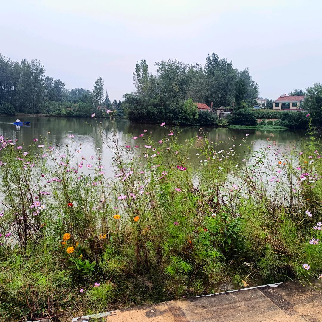 李東垂钓中心欢迎你