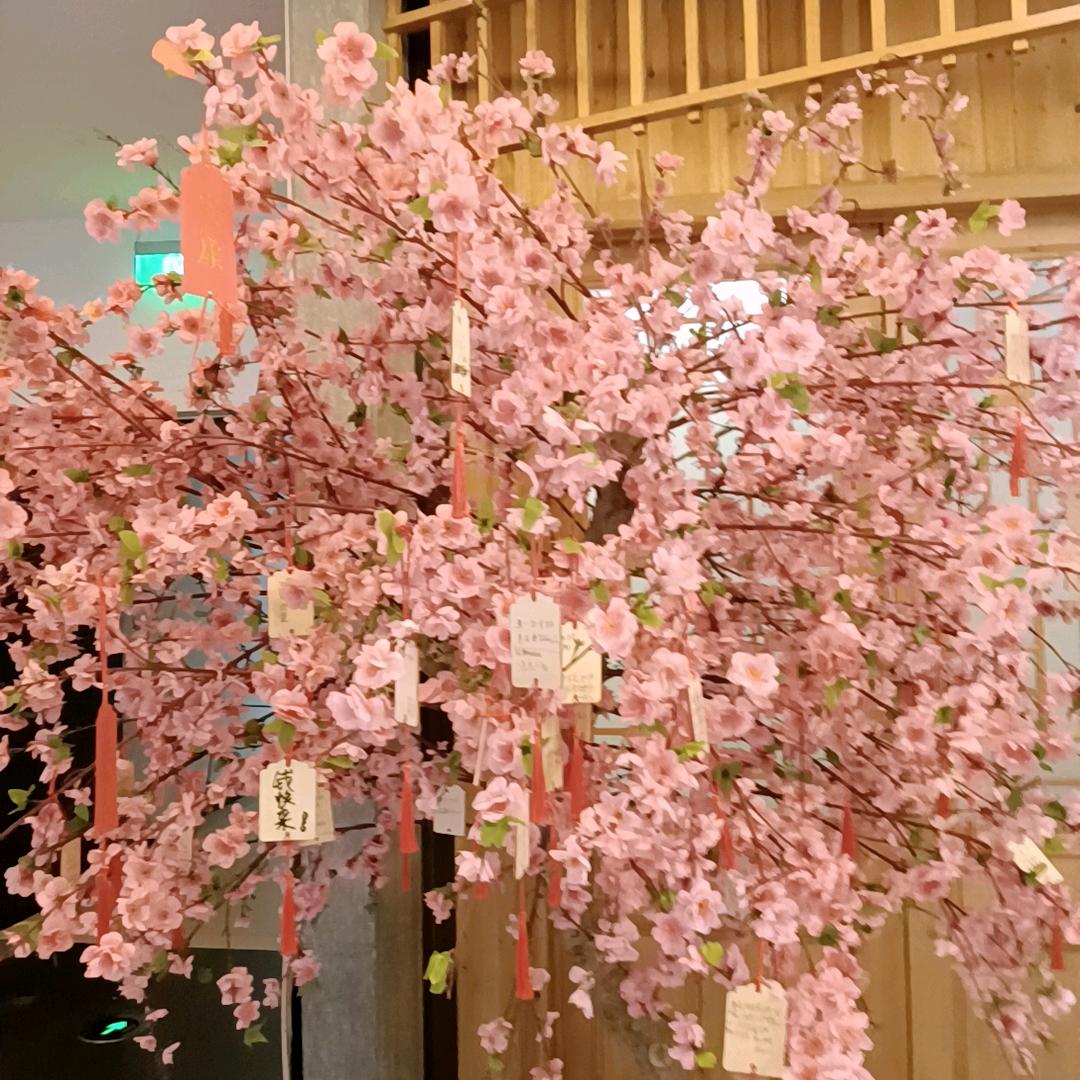 小爱