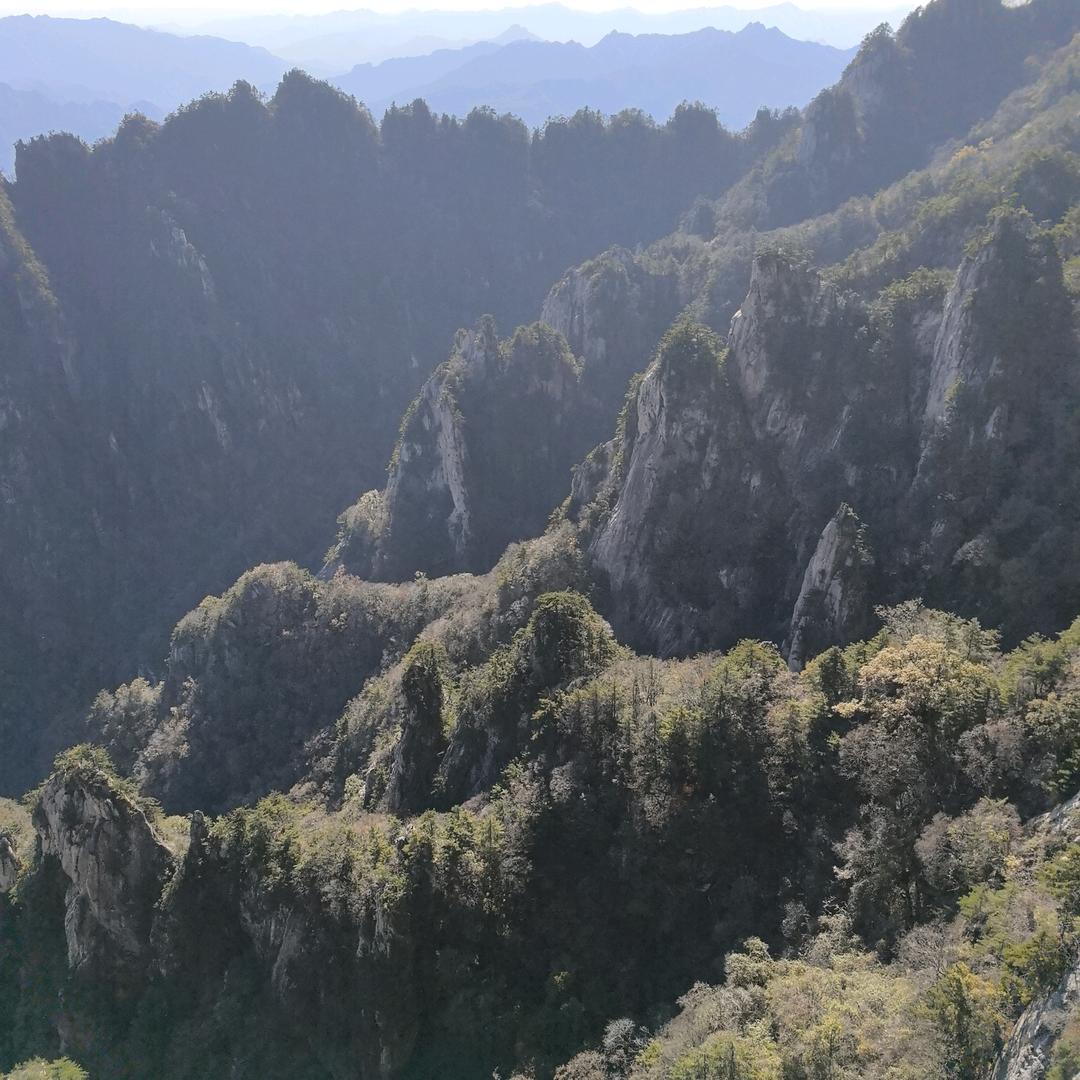 AKF散粉专场直播间