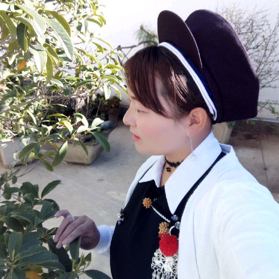 ✨风花雪月✨