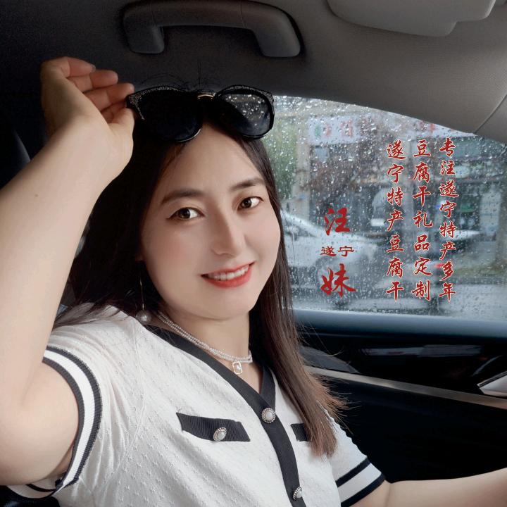 遂宁汪妹豆腐干（土特产）