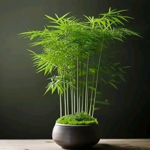 温馨
