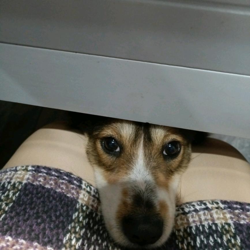 AA（美颜坊）化妆品