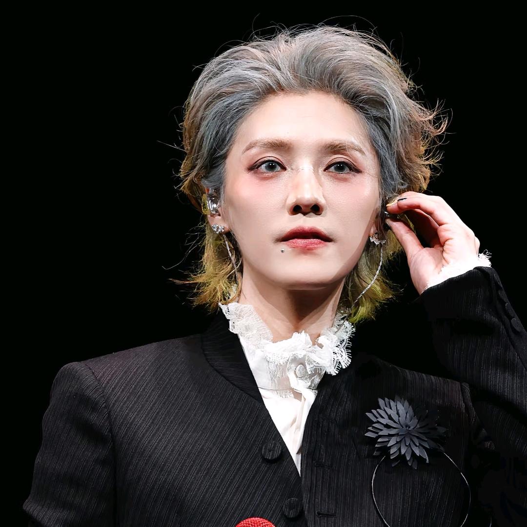 🎀🪄星光收藏馆✨🧩