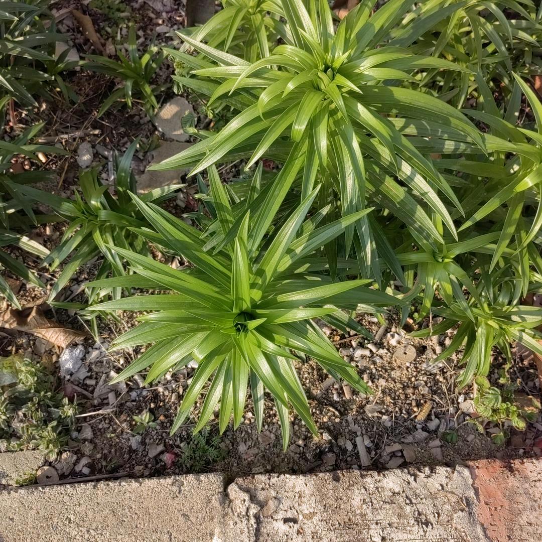 但愿时光不老我们不散