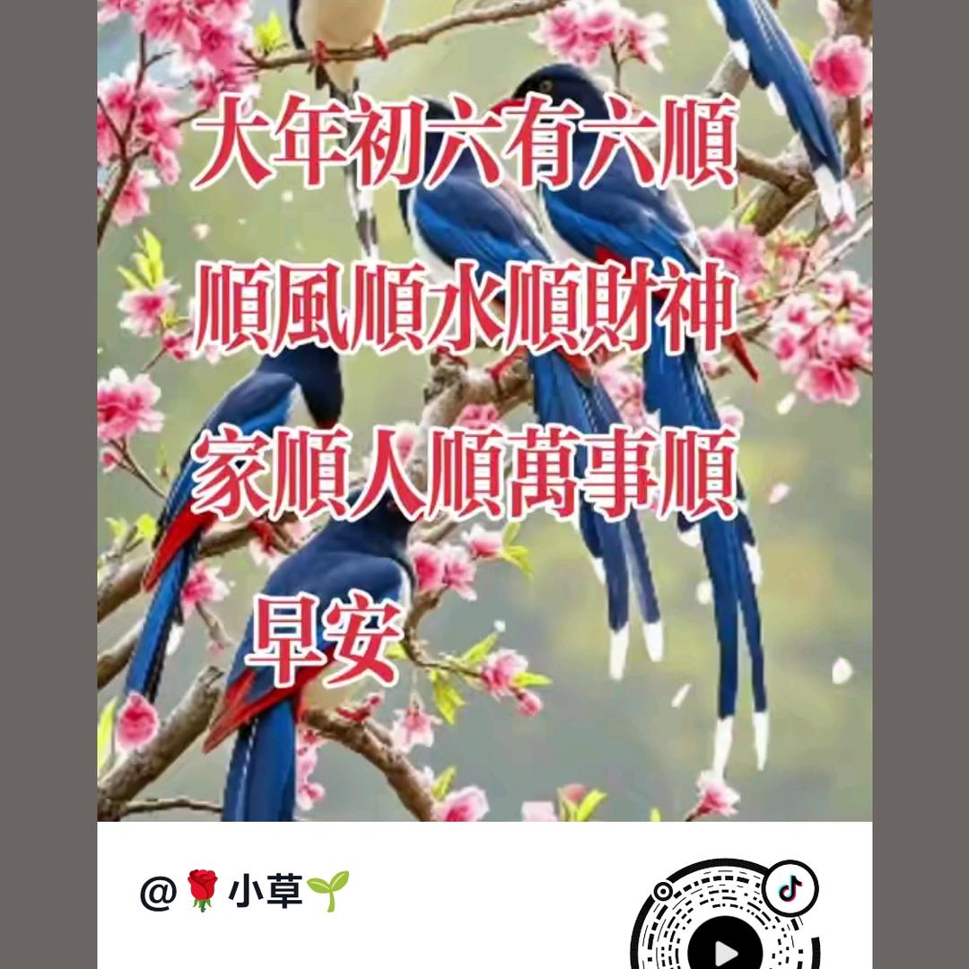 泥瓦哥