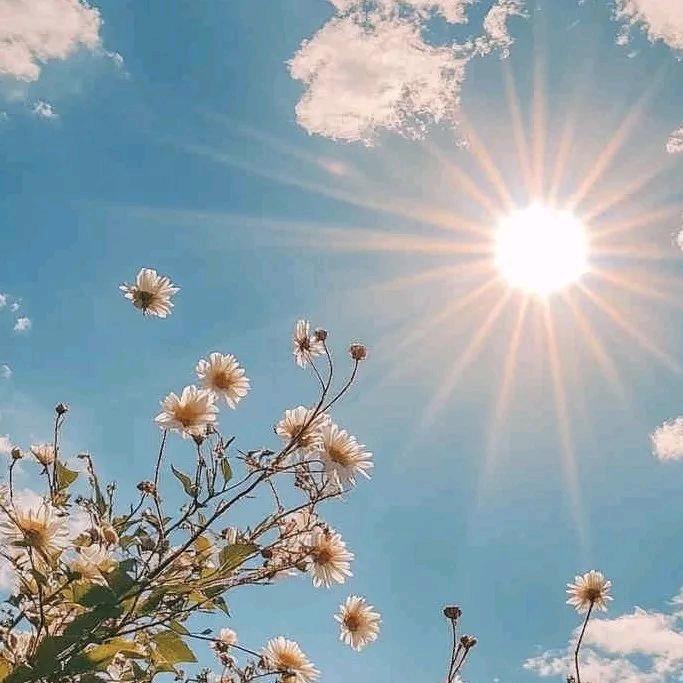光芒࿐☀️🌞