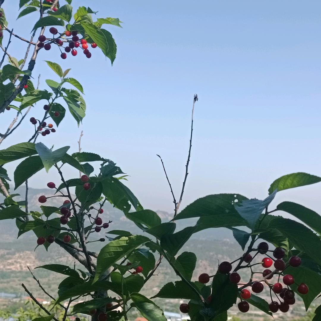 耐*⸜( •ᴗ• )⸝*