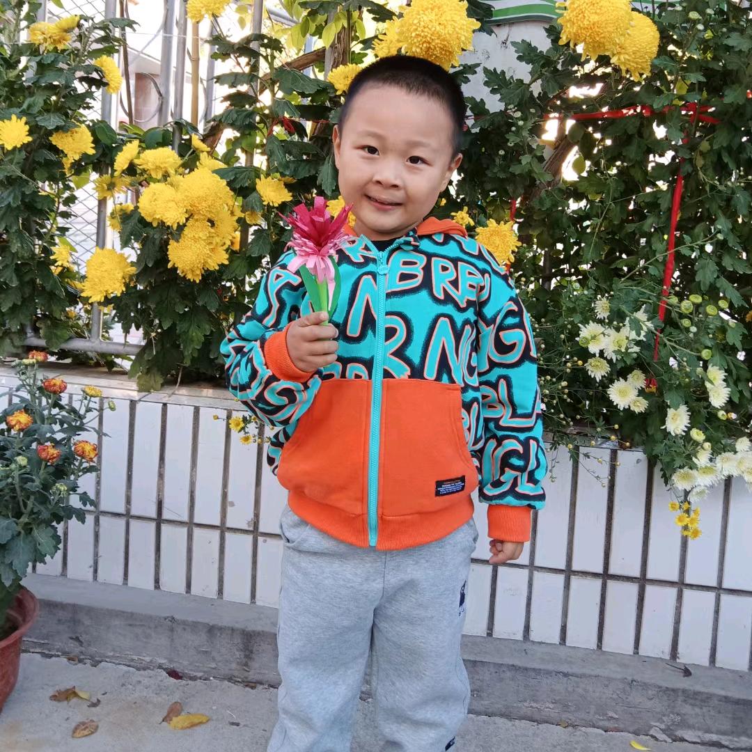 琴琴姑凉