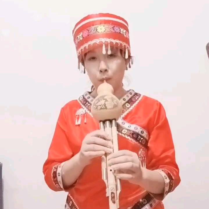 葫芦丝金金
