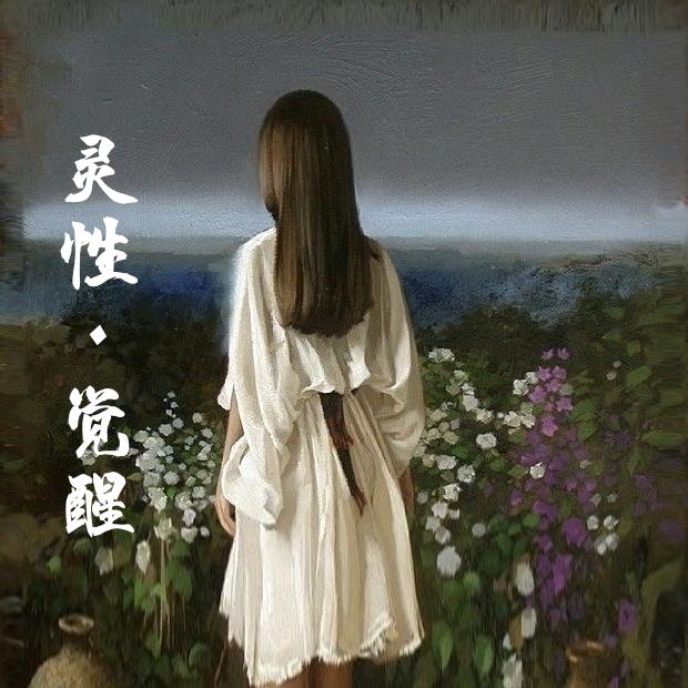心灵港湾