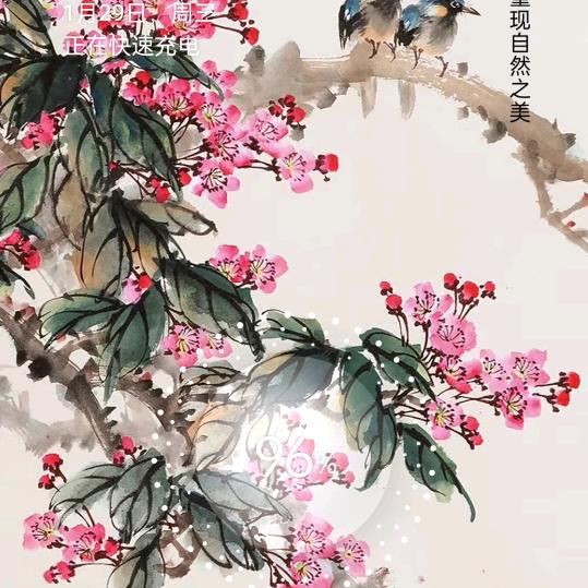 真情野绿茶