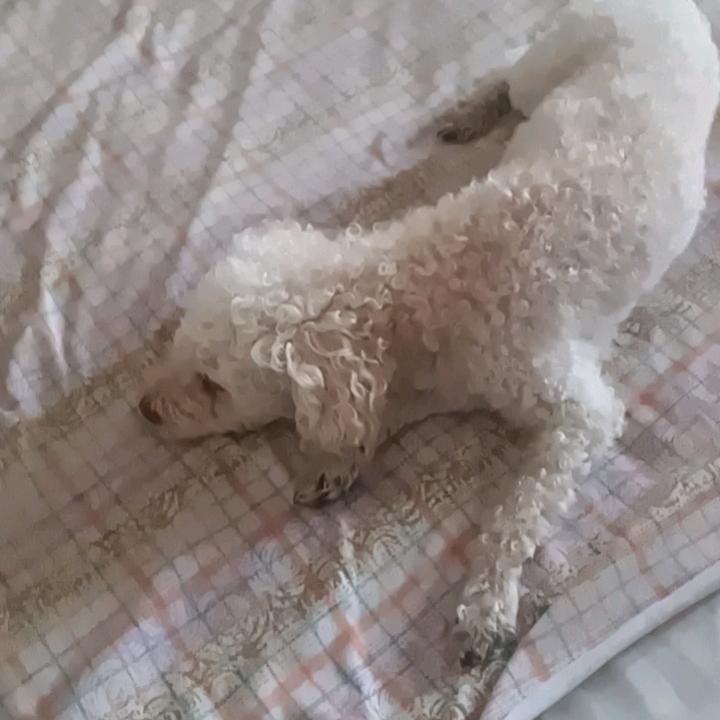 永逺有多逺