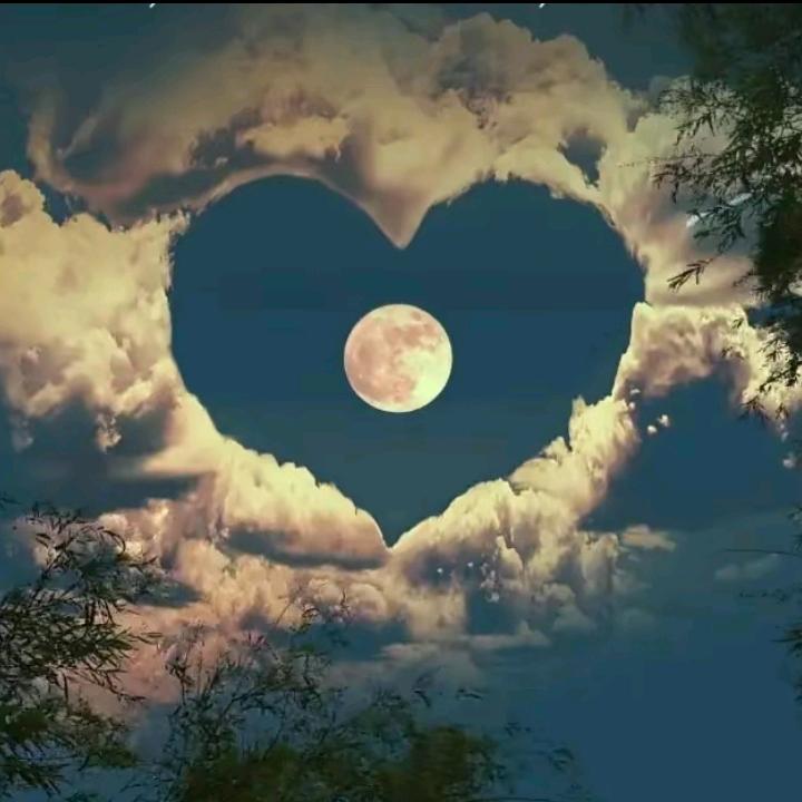 心如(இωஇ)止水