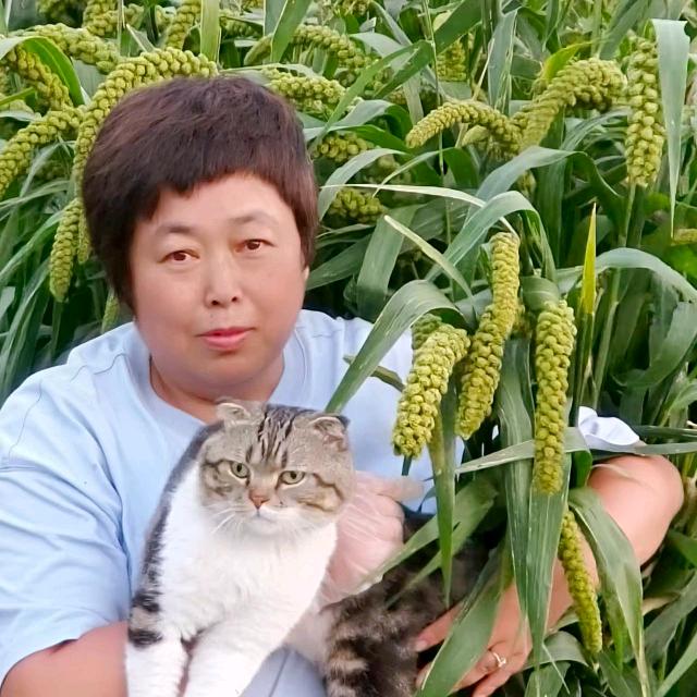 鹤岗余钱