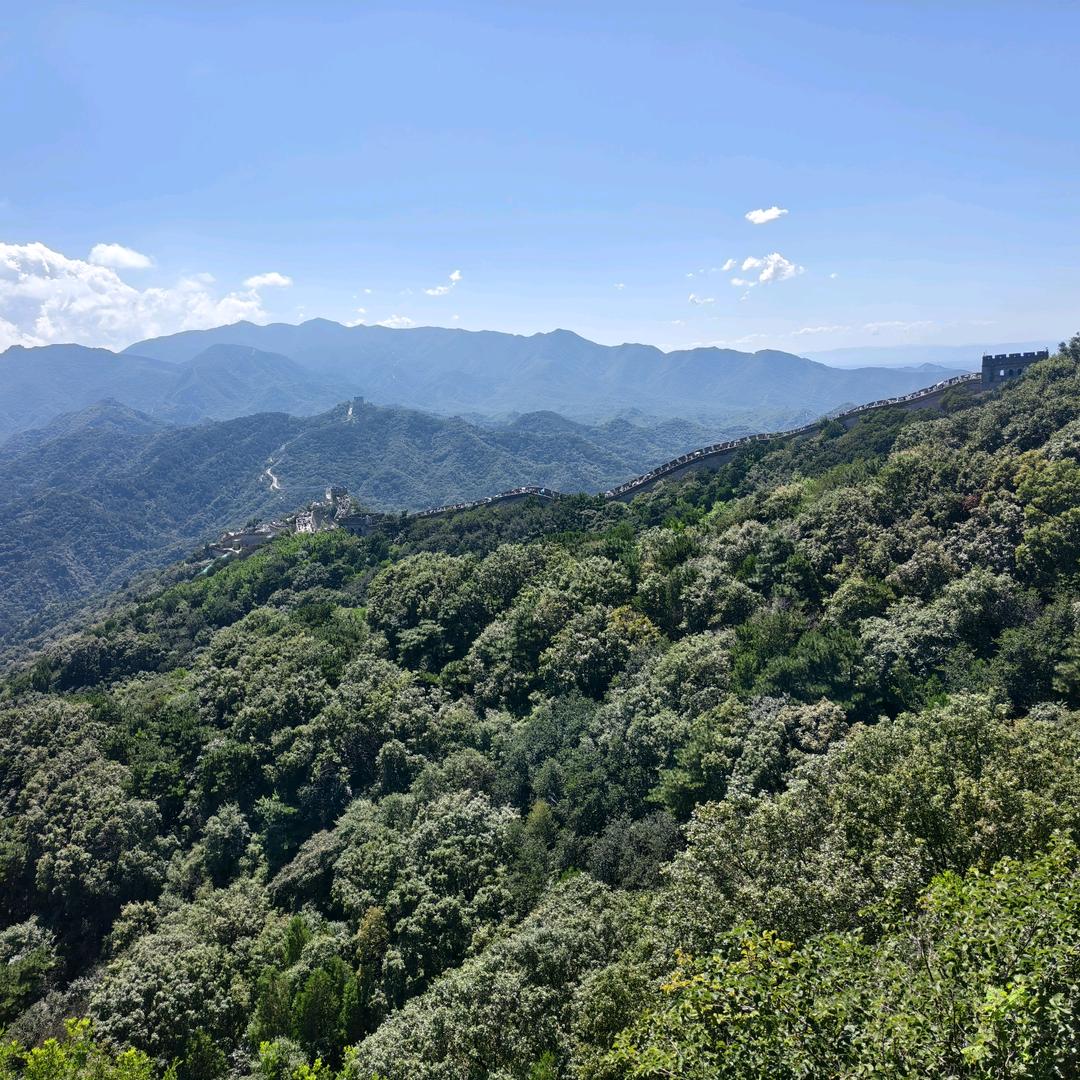 晶缘电器