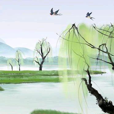 🍀青青河边草🌷