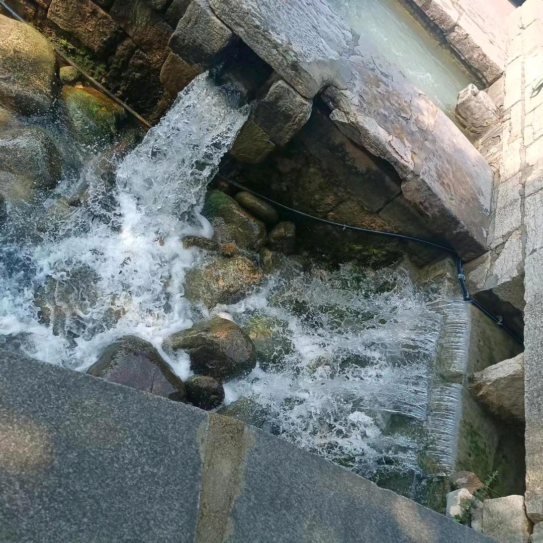 奥奥克克