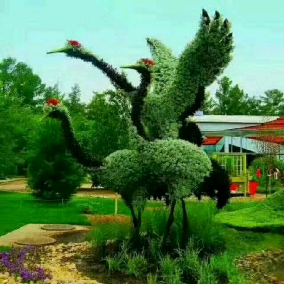 帅哥。单身的我