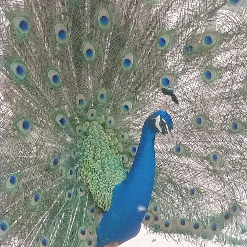 用户一生有你