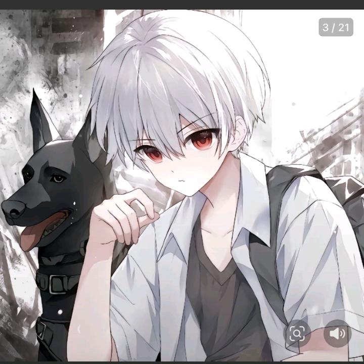 @枫叶