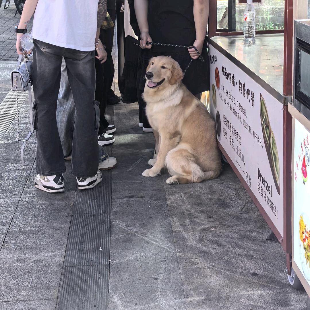 盖世英雄