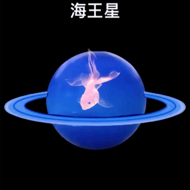 💥正义之光💥