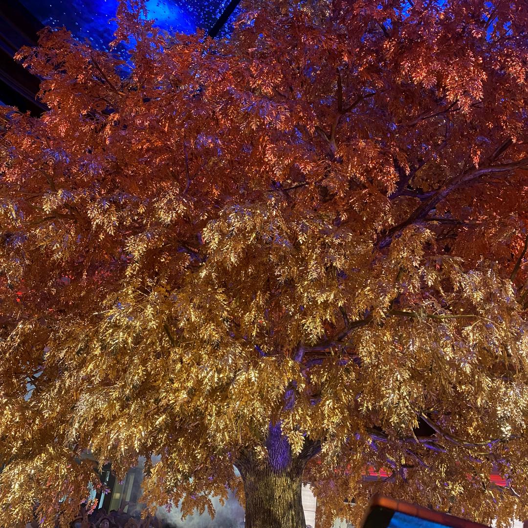 幸福在路上