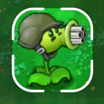 💚💚💚💚💚💚