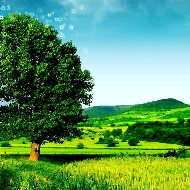 l🍀᭄ཽ࿆艺꧔ꦿ᭄桐꧔ꦿ᭄💞