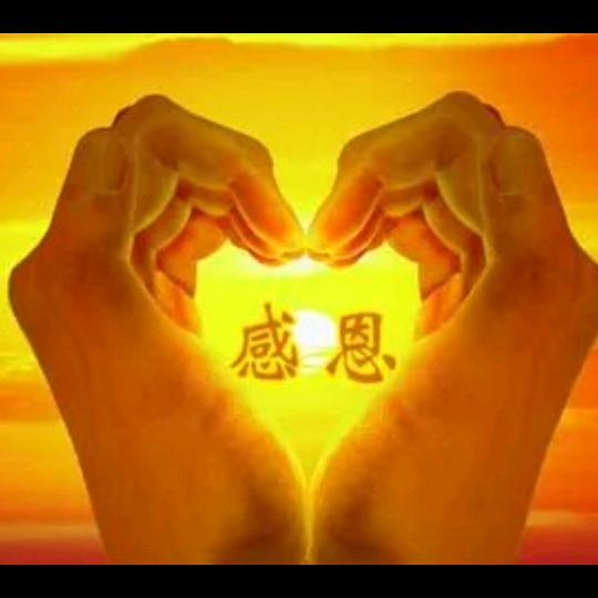 姓董的自然懂