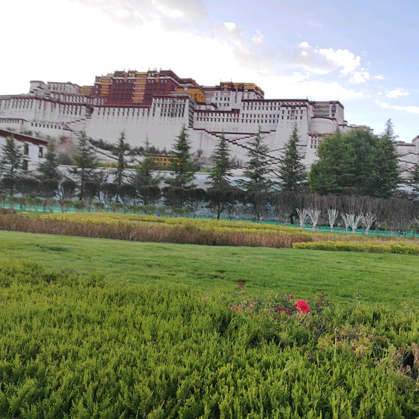 lunzhewangme