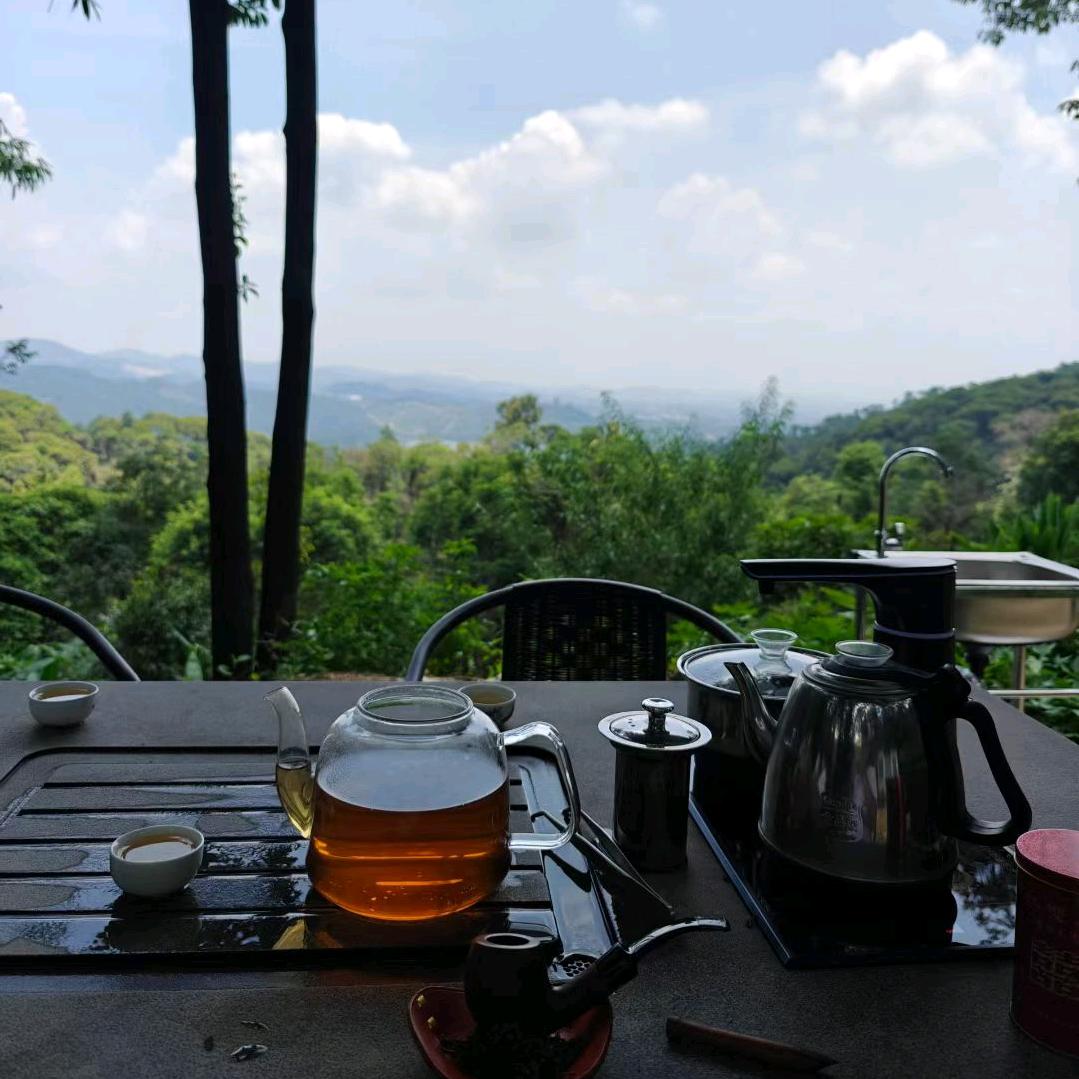 书海茶香伴修行