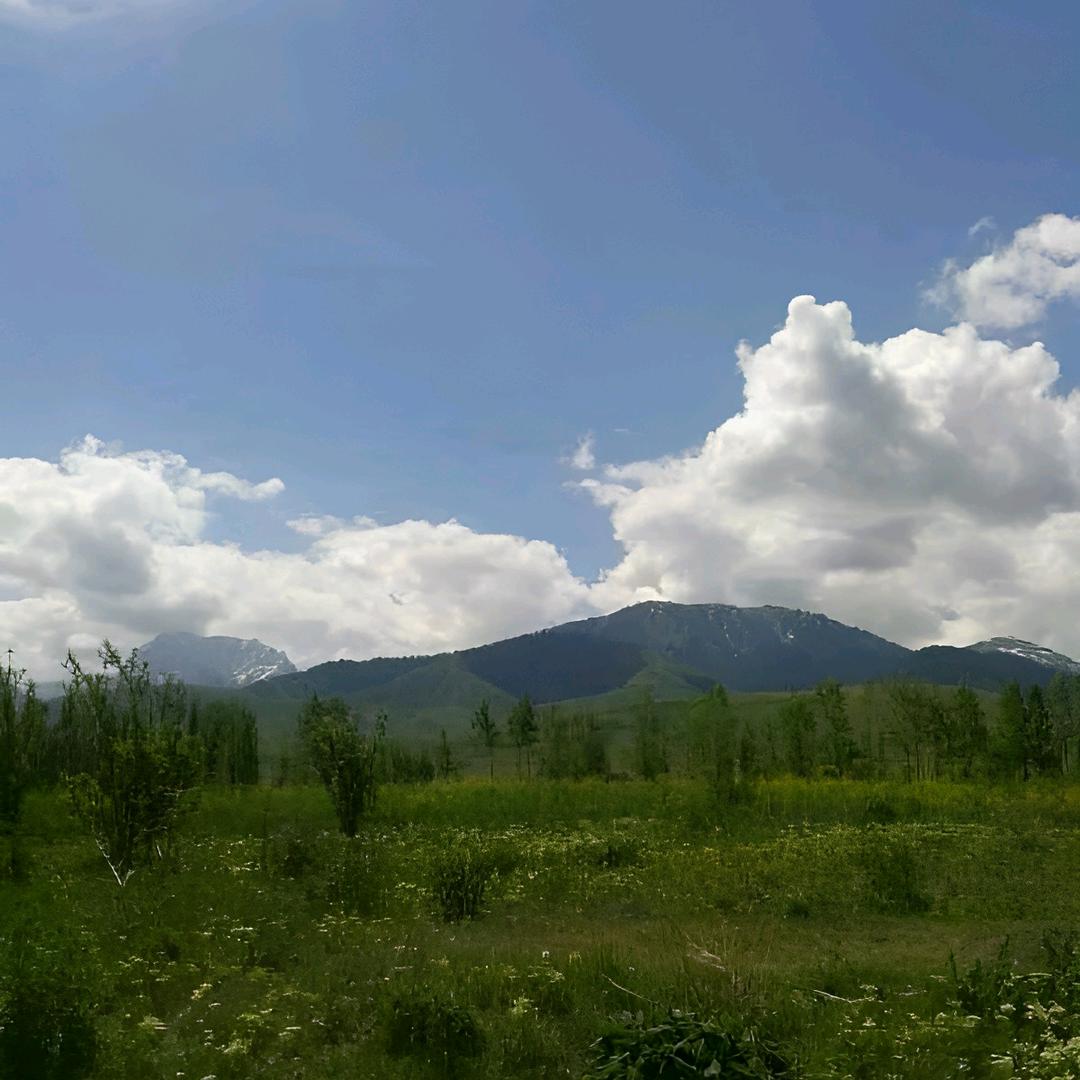 <$ÿĀ>冰恒制冷<$ÿĀ>