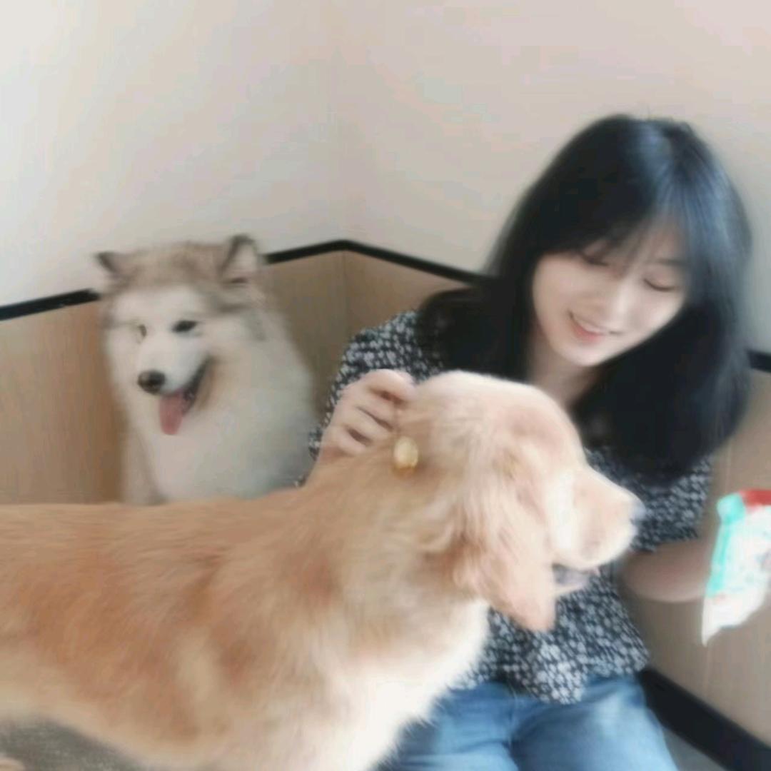 李玲