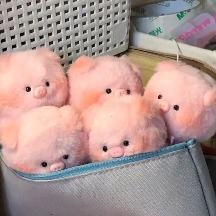 在西北的南方人