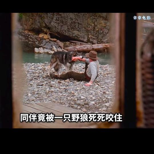龙骑士