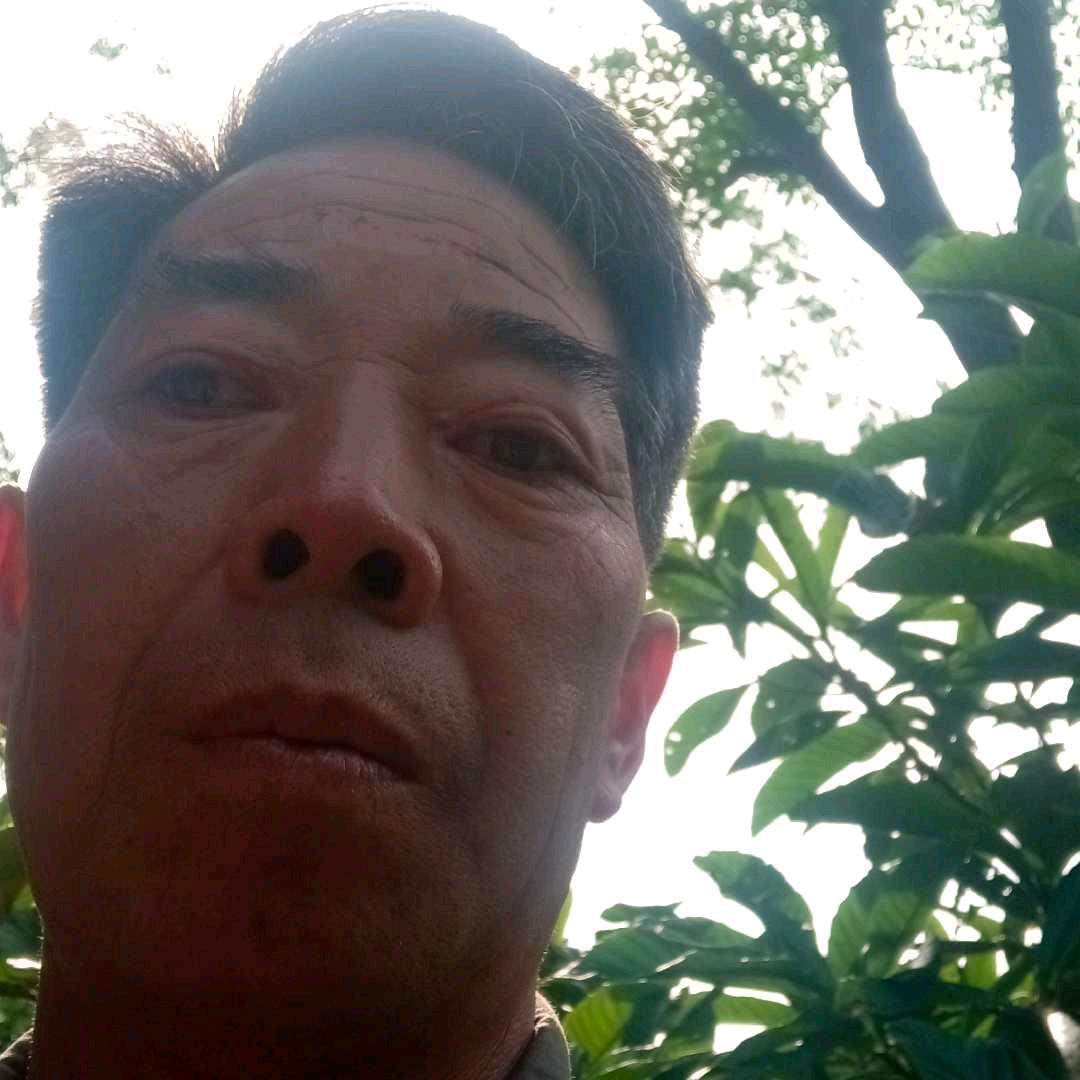 旭东升(杨)
