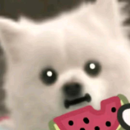 梦求真（暗区突围）