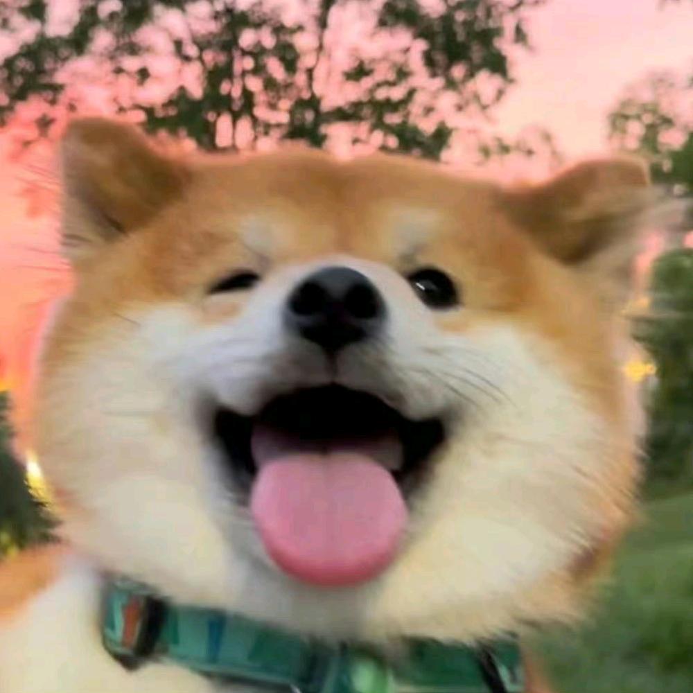 盼大王