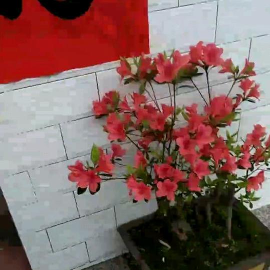 🌉️快乐每一天