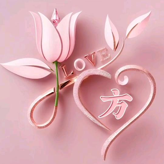 缘来有你