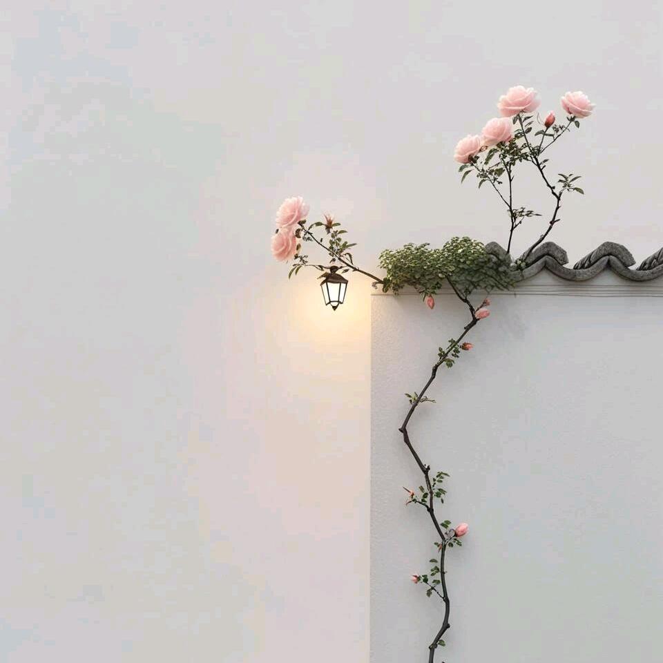 依然是你