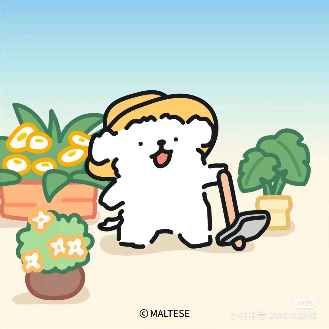 一只小犬