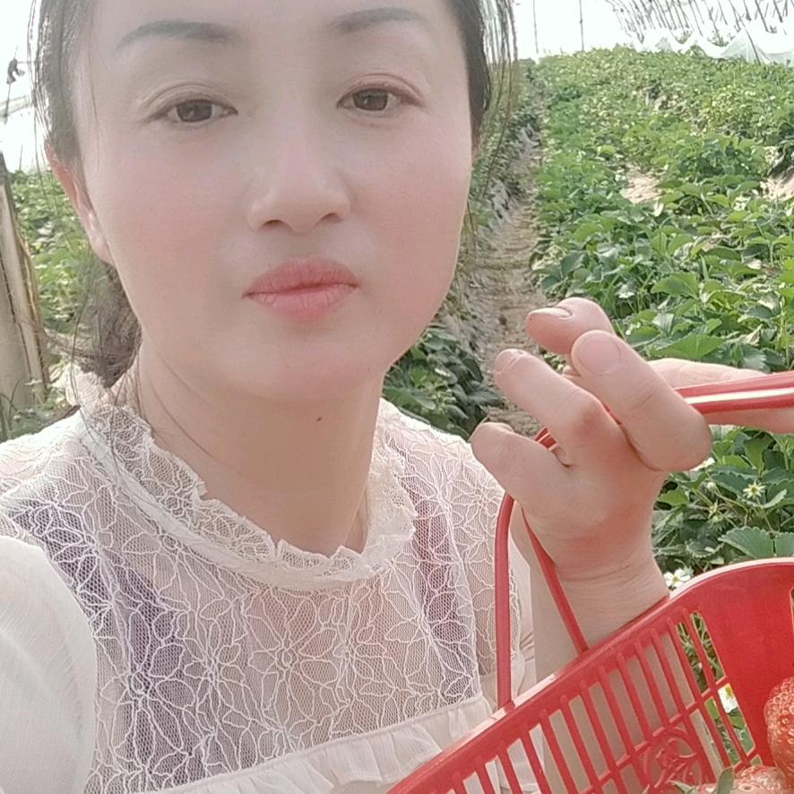 娟儿